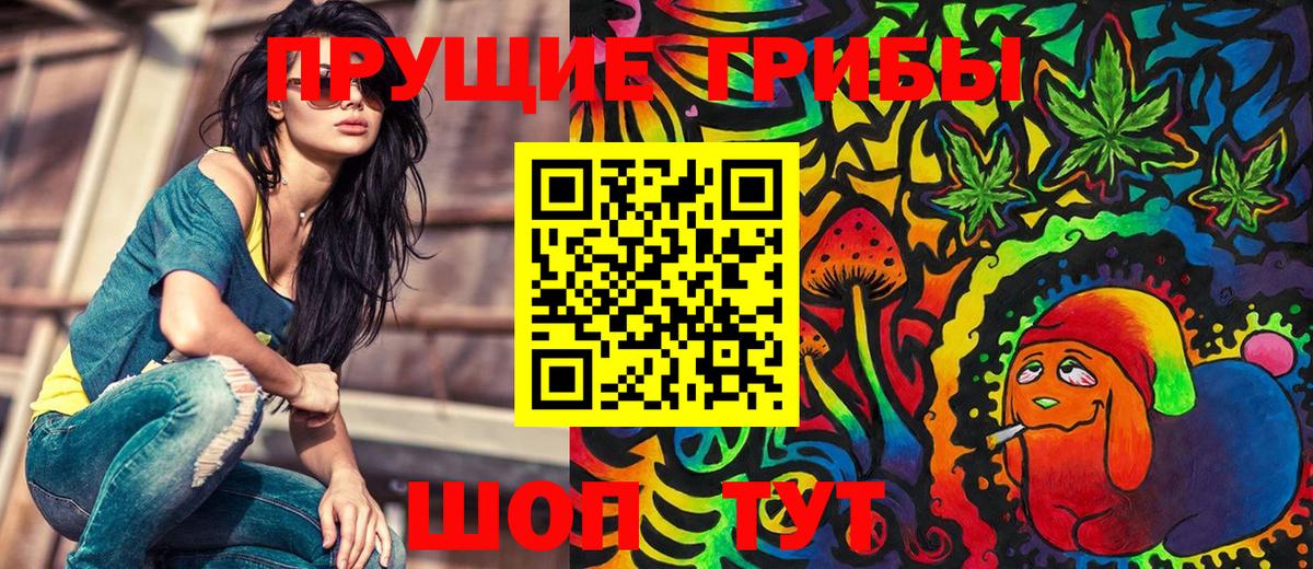 Псилоцибиновые грибы ЛСД Сокол