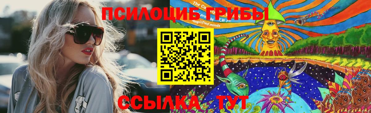 Сокол  где купить наркоту  Вход с VPN  Псилоцибиновые грибы ЛСД  Галлюциногенные грибы мухоморы 