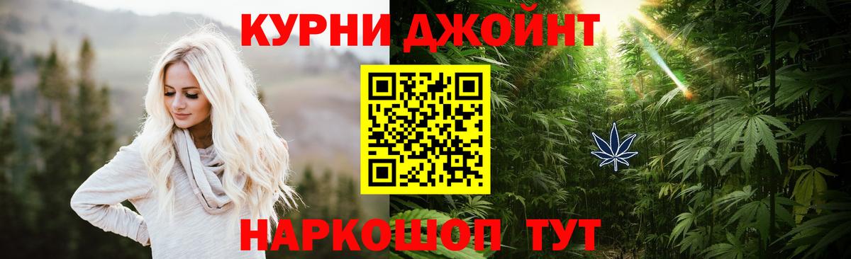 Сокол  Канабис ГИДРОПОН  Конопля White Widow  Вход с VPN  Марихуана VHQ  Марихуана SATIVA & INDICA 